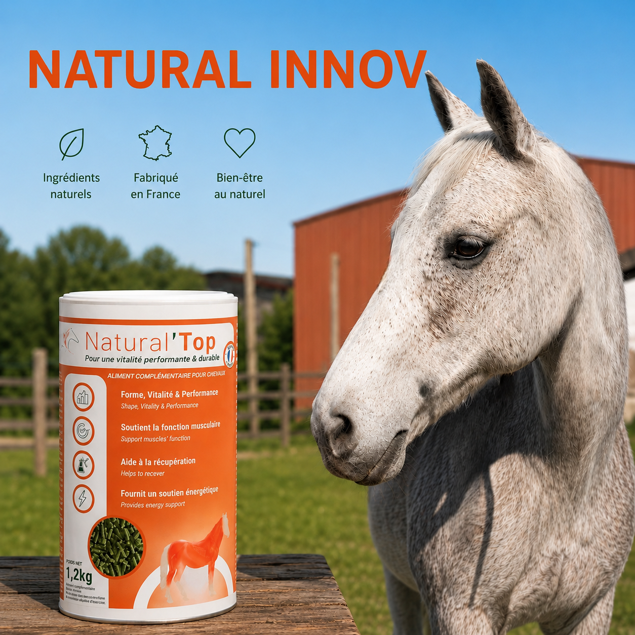 Natural’Innov
