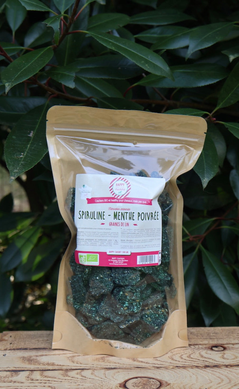 Crackers Spiruline Menthe poivrée
